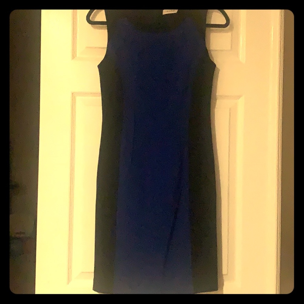 Petite Sleeveless Sheath Dress
